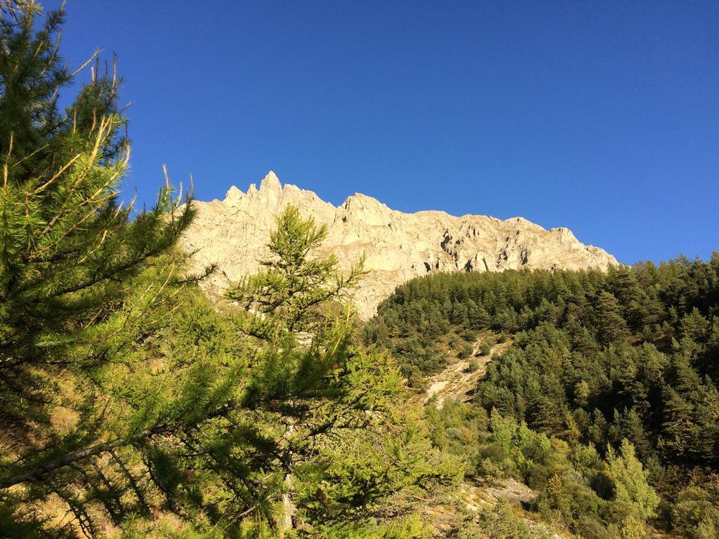 Saint-Martin-dʼEntraunes Gite Le Pelens מראה חיצוני תמונה